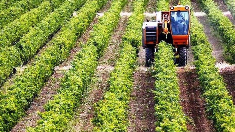 Απονιτροποίηση: Αυξάνεται στα 152,5 εκατ. ευρώ ο προϋπολογισμός του προγράμματος