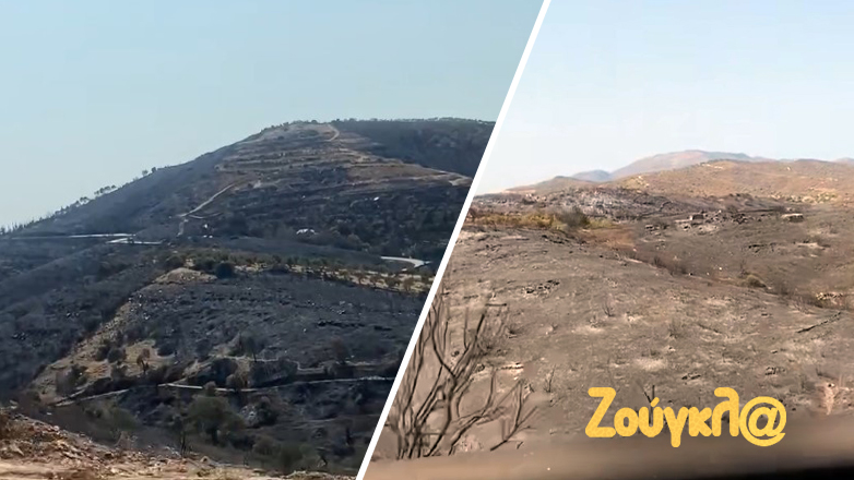 Περισσότερα από 9.500 στρέμματα κάηκαν από την πυρκαγιά στον Πισσώνα Ευβοίας