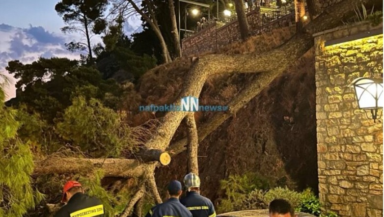 Σοκαριστικό βίντεο: Στο παρά 1′ γλίτωσε οικογένεια από πτώση τεράστιου πεύκου