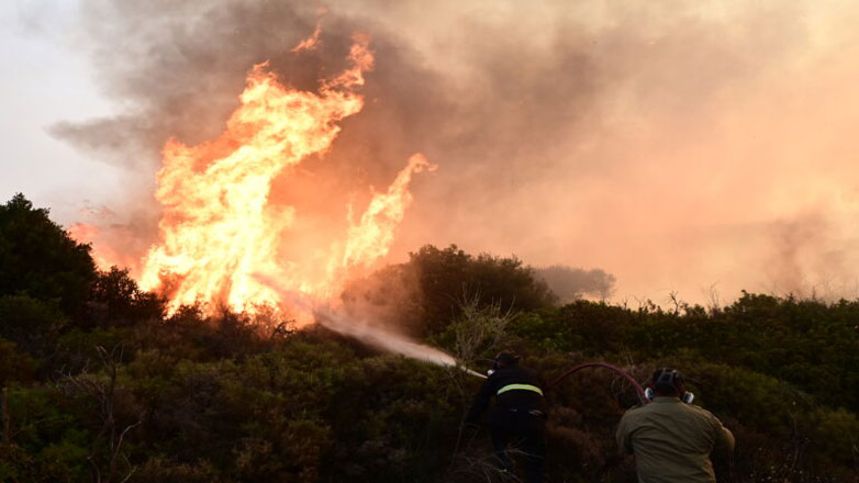 Πυρκαγιά στο χωριό Κορομηλιά στο Δομοκό Πυρκαγιά στο χωριό Κορομηλιά στο Δομοκό