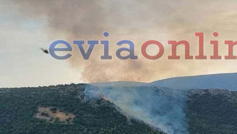 Φωτιά στο Τραχήλι Ευβοίας Φωτιά στο Τραχήλι Ευβοίας