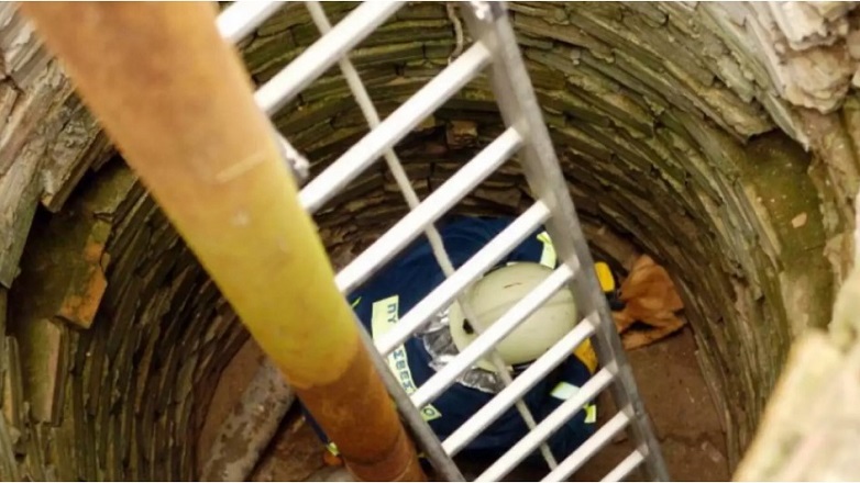 Άλογο έπεσε σε πηγάδι και η Πυροσβεστική το ανέσυρε σώο