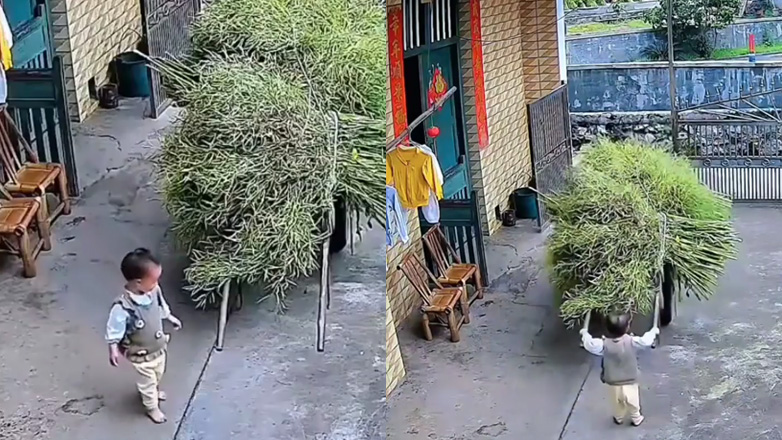 Μωρό μετακινεί μια χειράμαξα