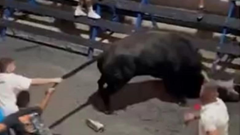 Σοκαριστικό βίντεο με αφηνιασμένο ταύρο