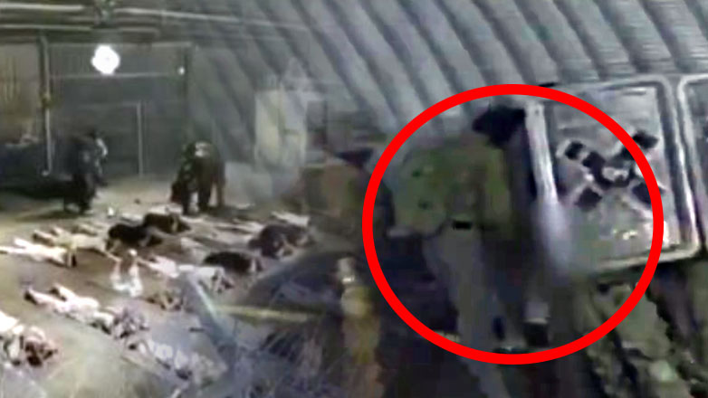 Σάλος με ομαδικό βιασμό Παλαιστίνιου αιχμαλώτου από Ισραηλινούς στρατιώτες