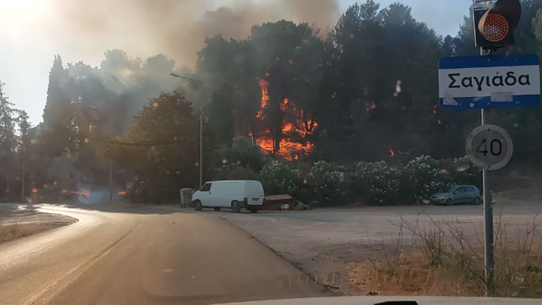 Πυρκαγιά σε πευκοδάσος στη Σαγιάδα Θεσπρωτίας Πυρκαγιά σε πευκοδάσος στη Σαγιάδα Θεσπρωτίας