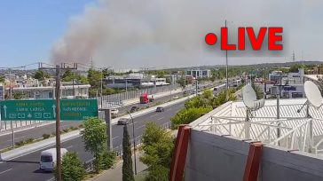 Δείτε από την κάμερα της «Ζούγκλας» την πυρκαγιά στο Γραμματικό