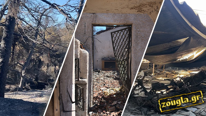 Οδοιπορικό της «Ζούγκλας» στην καμένη γη της Βόρειας Αθήνας