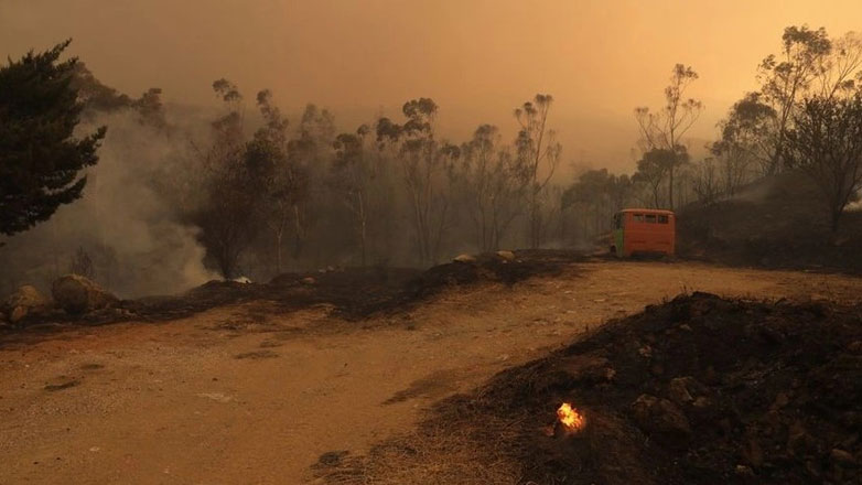 Έβρος: Φωτιά στην περιοχή του τελωνείου Κήπων