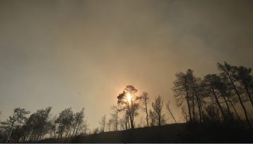 Νέα Αριστερά για Β. Κικίλια: «Έστω και τώρα να επιδείξει αξιοπρέπεια και να παραιτηθεί»