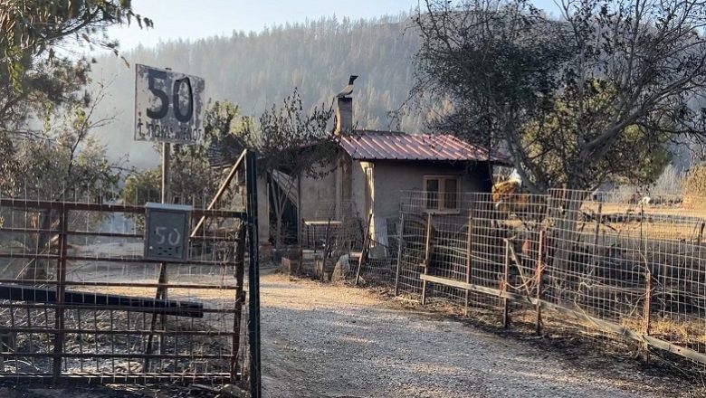 Mε διαδήλωση διαμαρτυρίας θα υποδεχτούν τον Πρωθυπουργό στα καμένα της Πεντέλης Mε διαδήλωση διαμαρτυρίας θα υποδεχτούν τον Πρωθυπουργό στα καμένα της Πεντέλης
