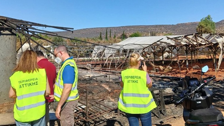 Ολοκληρώθηκαν οι αυτοψίες της Περιφέρειας Αττικής στις πυρόπληκτες επιχειρήσεις