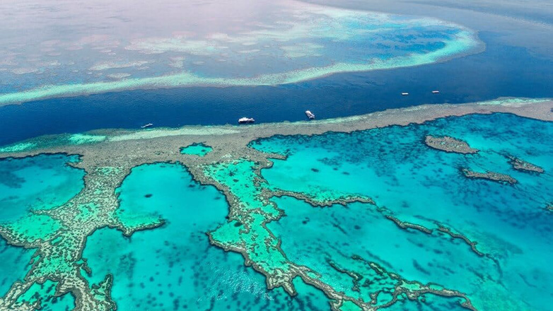 Κίνδυνος θερμότητας – Ρεκόρ 400 ετών για τον Μεγάλο Κοραλλιογενή Ύφαλο