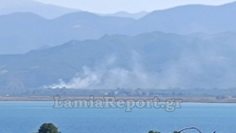 Πυρκαγιά στη Σκάρφεια Λοκρίδας