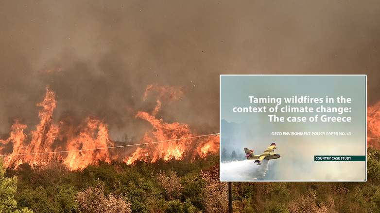 «Κόκκινη κάρτα» του ΟΟΣΑ στην Ελλάδα για τις πυρκαγιές