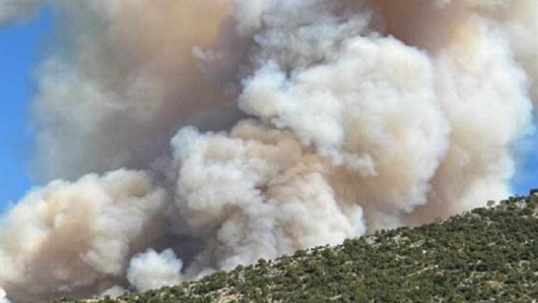 Μεγάλη φωτιά στη Θεσπρωτία – Μήνυμα από το 112 στους κατοίκους