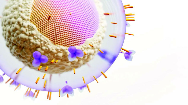 Έρπης των γεννητικών οργάνων: Αιτίες, συμπτώματα και διαχείριση