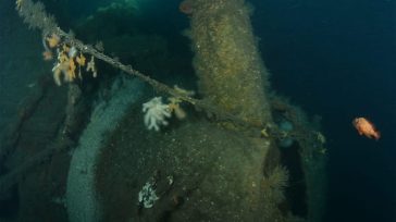 Σκωτία: Δύτες εντόπισαν το ναυάγιο ενός πολεμικού πλοίου που βυθίστηκε στον Α΄ Παγκόσμιο Πόλεμο