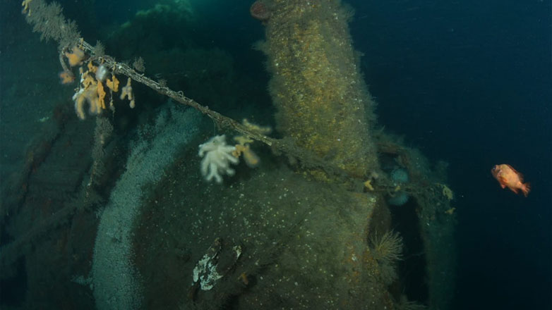 Σκωτία: Δύτες εντόπισαν το ναυάγιο ενός πολεμικού πλοίου που βυθίστηκε στον Α΄ Παγκόσμιο Πόλεμο