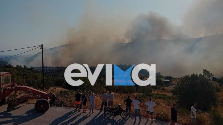 Εύβοια: Δύο φωτιές σε Ζάρακες και Μεσοχώρια – Μεγάλη κινητοποίηση της πυροσβεστικής