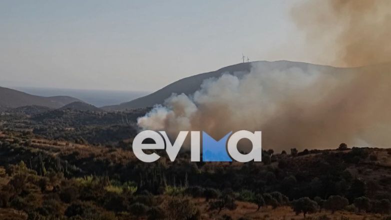 Φωτιά στην Εύβοια – Καίει δασική έκταση
