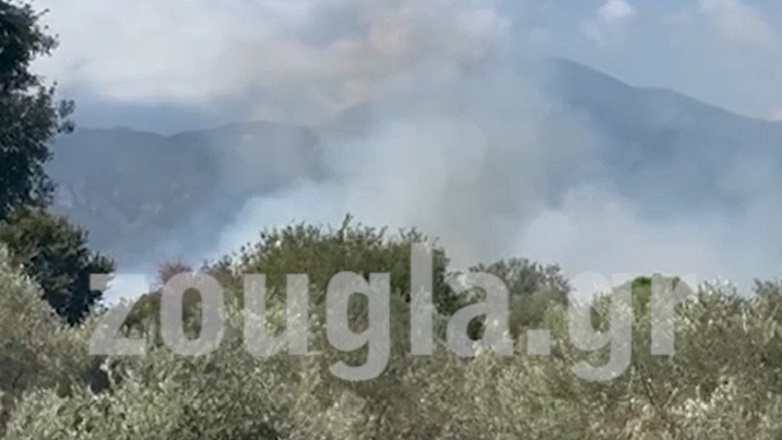 Δύο προσαγωγές υπόπτων για τη φωτιά στο Λιτόχωρο Πιερίας