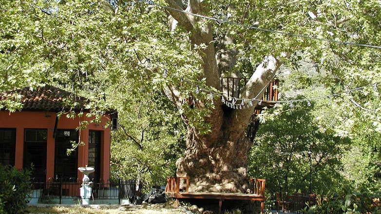 Αγιάσος Λέσβου: Ξαναζεί ο ιστορικός κήπος της Παναγίας