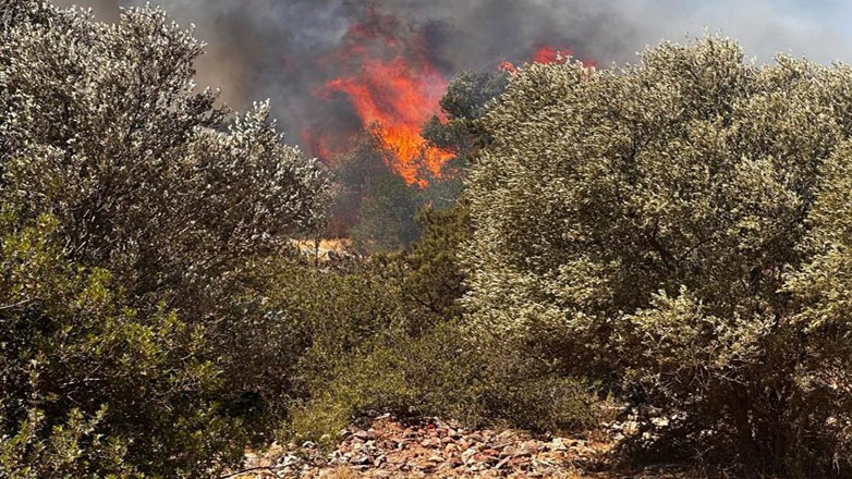 Υπό μερικό έλεγχο η φωτιά στο Κορωπί Αττικής