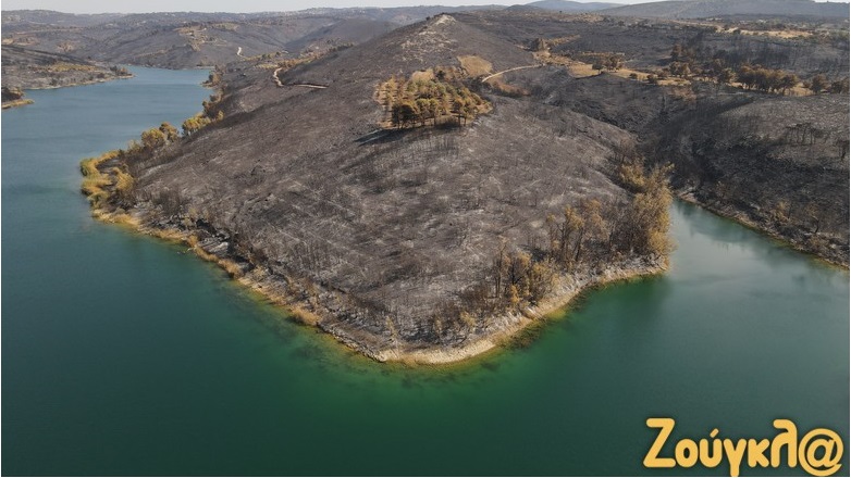 Ο φακός της «Ζούγκλας» στην καμένη γη του Μαραθώνα