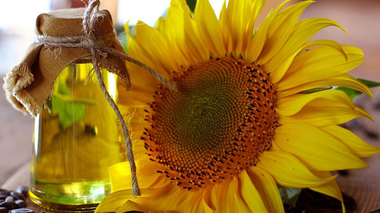 Το ηλιέλαιο εκθρόνισε το ελαιόλαδο από τις ισπανικές κουζίνες