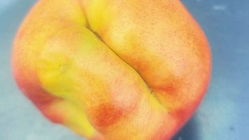 Το «μυστήριο» με τα παραμορφωμένα ροδάκινα και νεκταρίνια εξαπλώνεται σε 10 χιλιάδες στρέμματα