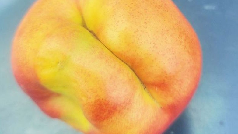 Το «μυστήριο» με τα παραμορφωμένα ροδάκινα και νεκταρίνια εξαπλώνεται σε 10 χιλιάδες στρέμματα