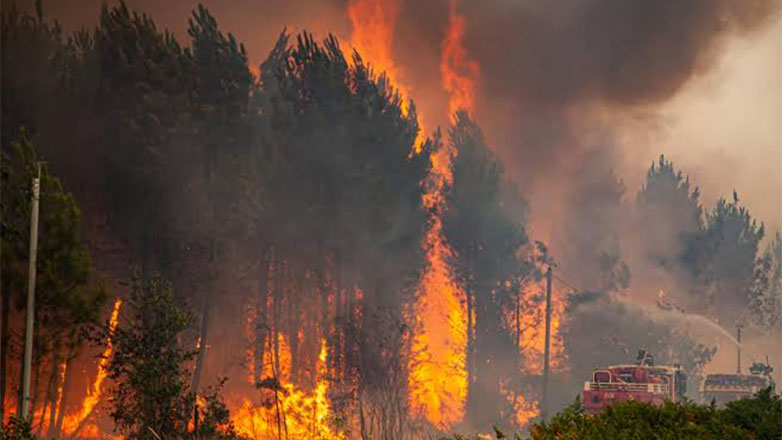 Πυρκαγιά στη Μαδέρα: Η Πορτογαλία ζητά πυροσβεστικά αεροσκάφη από την ΕΕ
