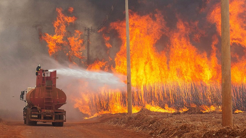 Η Βραζιλία «σε πόλεμο» με τις πυρκαγιές