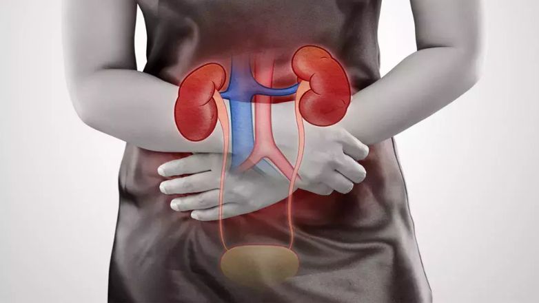 Μια πιθανή νέα από του στόματος θεραπευτική επιλογή για υποτροπιάζουσες λοιμώξεις του ουροποιητικού συστήματος