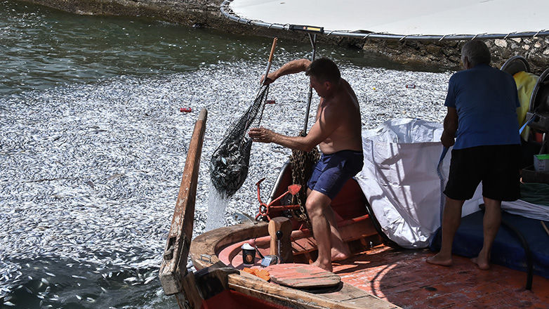 Στέλεχος της Νέας Δημοκρατίας κατηγορεί υπουργό για την καταστροφή στο Παγασητικό