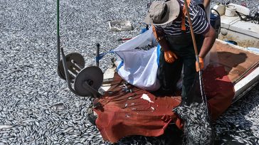 Ο Άρειος Πάγος διέταξε κατεπείγουσα προκαταρκτική εξέταση για τα νεκρά ψάρια στον Βόλο και την κατάσταση στη λίμνη Κάρλα