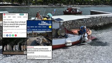 Διεθνής κατακραυγή για την περιβαλλοντική καταστροφή στον Παγασητικό