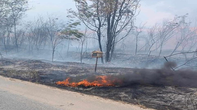 Πυρκαγιά μετά από κεραυνό σε κολώνα της ΔΕΗ στην Ε.Ο Τρικάλων-Ιωαννίνων