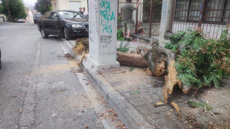 «Τα πήρε όλα σβάρνα» – Αυτοκίνητο ξερίζωσε δέντρο και έριξε πινακίδα
