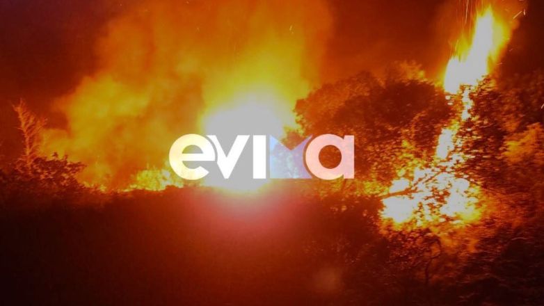 Φωτιά τα ξημερώματα στα Στύρα Ευβοίας