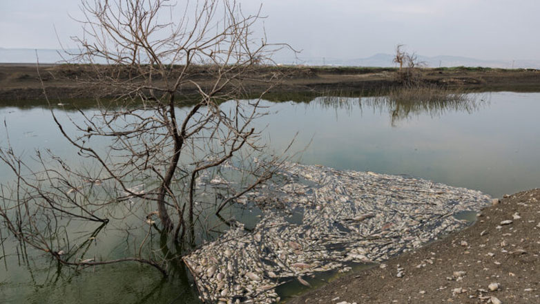 Λίμνη Κάρλα: Η αποξήρανση της λίμνης και το νέο τοπίο από τα πλημμυρικά φαινόμενα