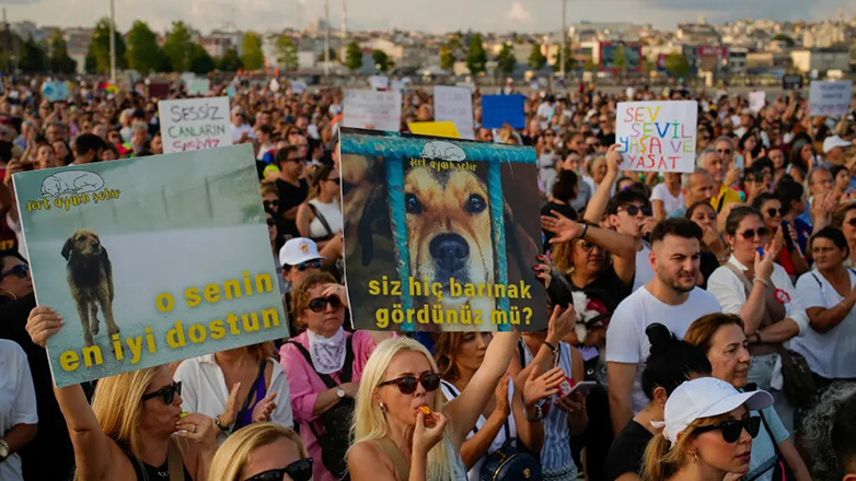 Χιλιάδες Τούρκοι διαμαρτύρονται για τον αμφιλεγόμενο νόμο των αδέσποτων σκύλων – Φόβοι ότι θα καταλήξουν νεκρά ή άρρωστα
