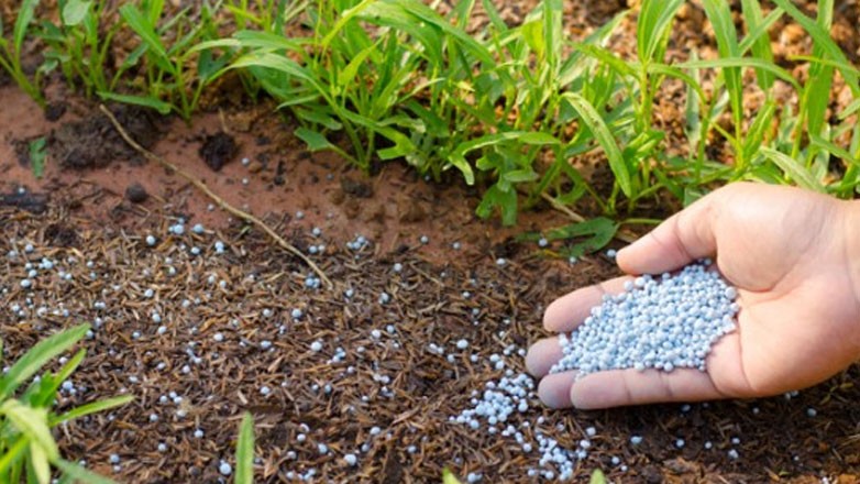 Επιδοτείται η μετατροπή των βιολογικών καλλιεργειών ή εκτροφών