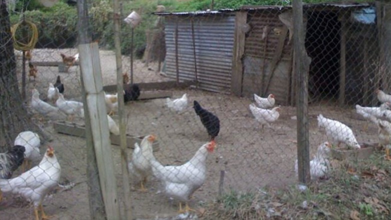 Βόλος: Ζει σε κοτέτσι για να μην έχει επαφή με την γυναίκα και την κόρη του