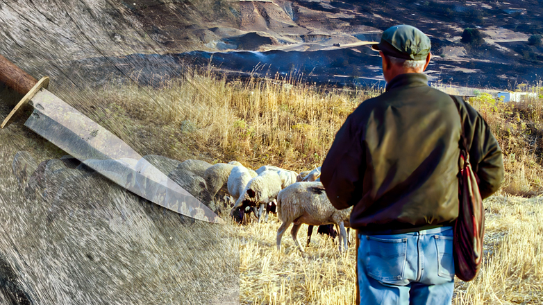 Μεγάλη αστυνομική επιχείρηση σε σπίτια υπόπτων για την άγρια επίθεση στον κτηνοτρόφο