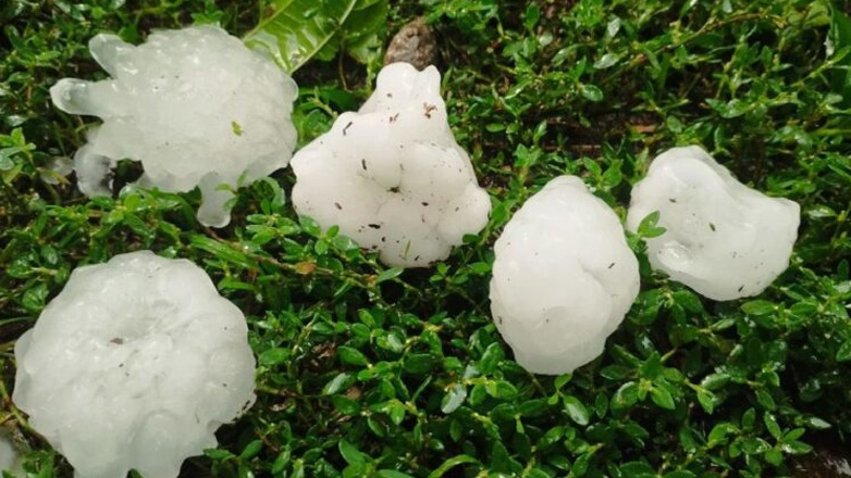 Ισχυρή χαλαζόπτωση κατέστρεψε καλλιέργειες σε χωριά της Ελασσόνας