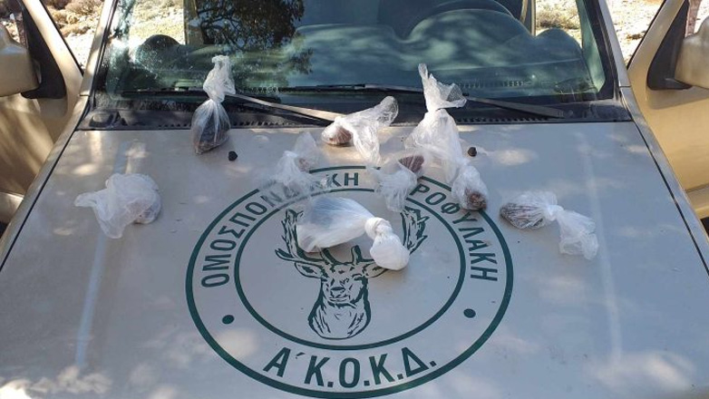 Χανιά: Δεκάδες φόλες εντοπίστηκαν σε ορεινή περιοχή στα Κεραμειά