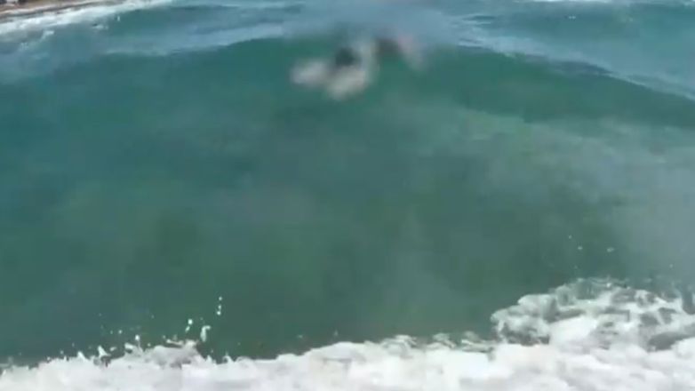 Κως: Σε νεαρό Παλαιστίνιο πρόσφυγα ανήκει η σορός που εντοπίστηκε από σέρφερ σε παραλία