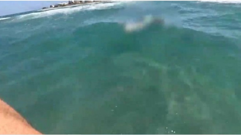 Σοκ στην Κω – Σέρφερ εντόπισε σορό στην παραλία και μετέδωσε σε βίντεο τη σκηνή